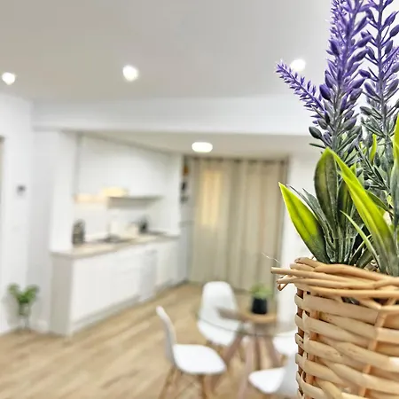 Coqueto Con Piscina, Nuevo A 50m Del Mar, Parking Gratis Appartement